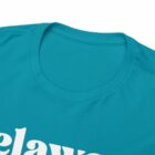 Delawear Shirt Teal